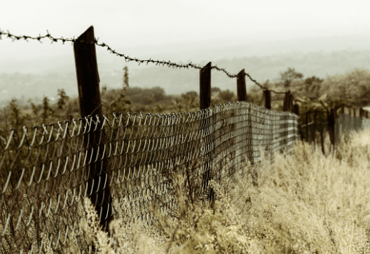 Co si počít se starým nevzhledným plotem