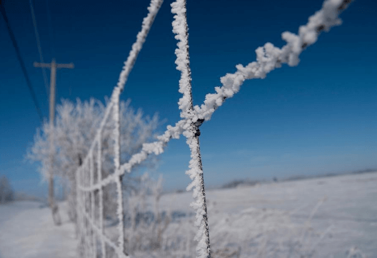 Jak na údržbu plotu před nadcházející zimou