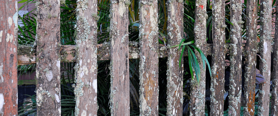 starý dřevěný plot 