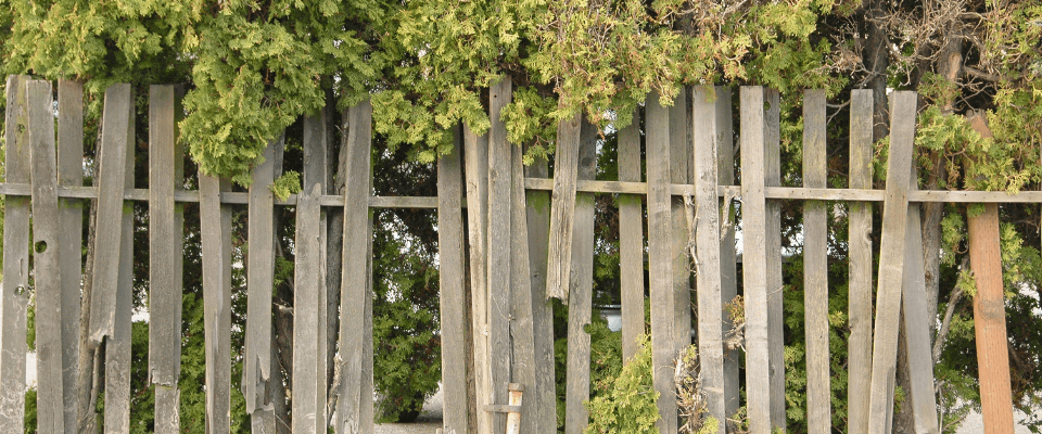 starý rozpadený plot 