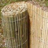 Bambus na plot