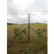 Svařovaná síť Fortinet Super 1800 mm zelená