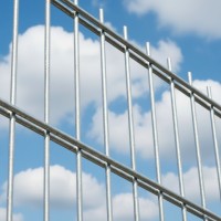 Plotový panel BRAVO 2D pozink 2230 mm