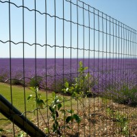 Svařovaná síť Pantanet Family 1220 mm antracit